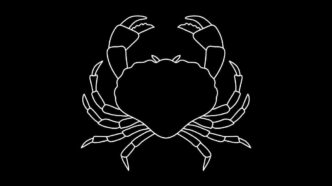 Roczny horoskop finansowy Rak 2026