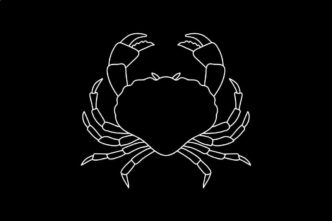 Roczny horoskop finansowy Rak 2026