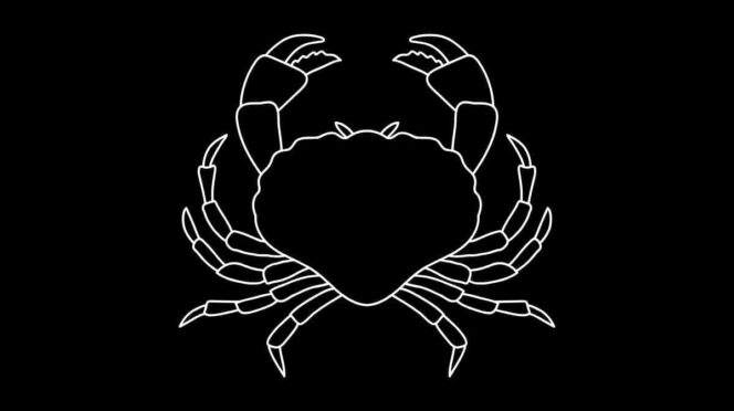 Roczny horoskop finansowy Rak 2026