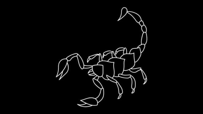 Roczny horoskop finansowy Skorpion 2026